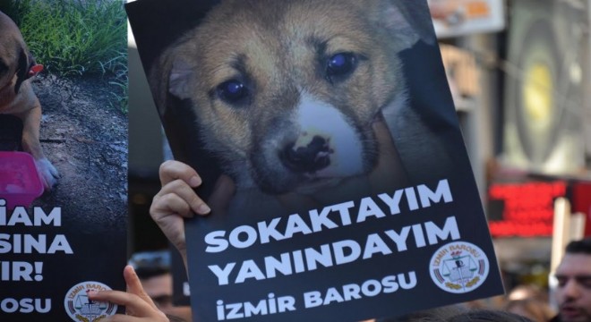 İzmir Barosu ndan hayvan hakları mücadelesi