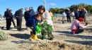 Çeşme'de Fidanlar Kadınlar için toprakla buluştuu